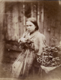 A PHOTOGRAPHIC MISCELLANEA - Volume 1