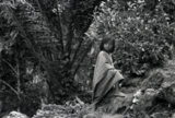 Echoes of a Vanished World