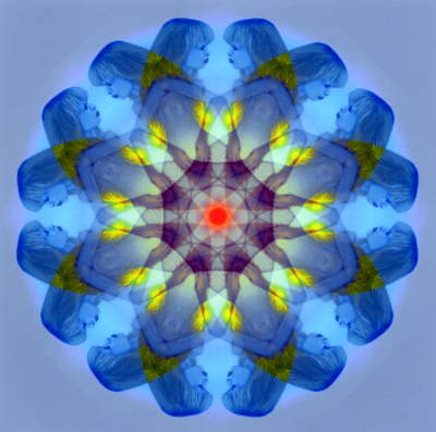 P04