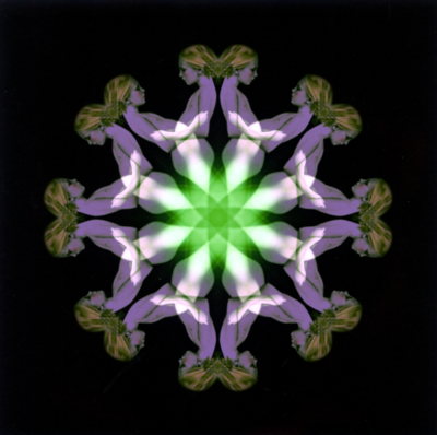 P05