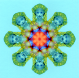 P06