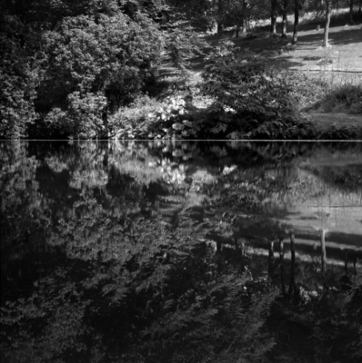 02  Newton Barton  Reflections  1981
