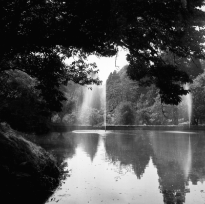 05  Newton Pond  1981