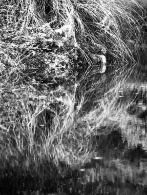 06  Reflection  Barleysplatt Pond  1977