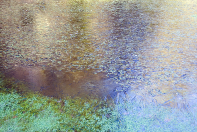 11a  Barley Splatt Pond  2002