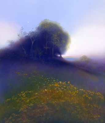 Venus & Arthur's Grove 2004